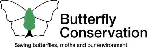 https://about.conservationevidence.com/wp-content/uploads/2022/12/ButterflyConservation.png